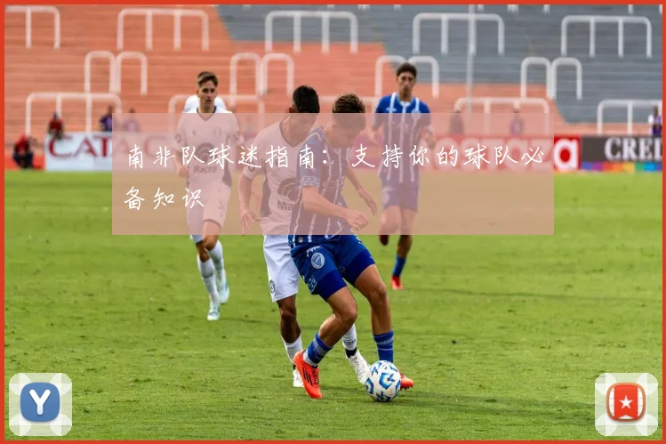南非队球迷指南：支持你的球队必备知识